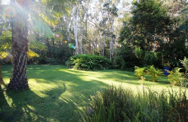 The Carrai at South West Rocks - Foto 12