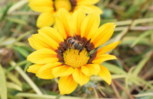 Pátio do Judeu - Foto 61