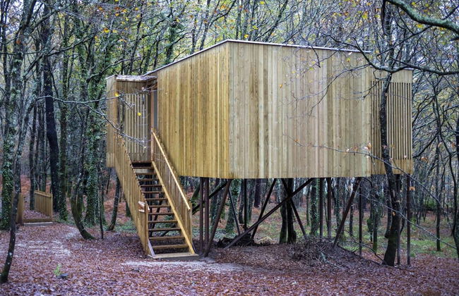 Enoturismo María Manuela - Photo 55