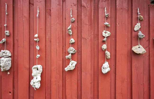 Secluded Retreat by Limfjorden - By Traum Ferienwohnungen - Foto 31