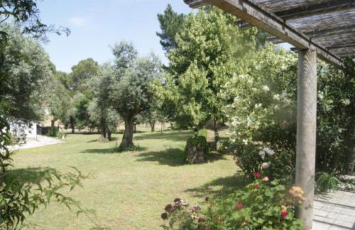 Casa do Vale - Foto 10