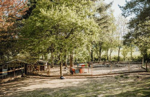 Eifelhüttchen Blaumeise - Foto 7