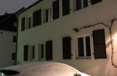 Saarlouis Innenstadt im Grünen - Foto 39