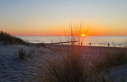 Ferienwohnung Ostsee Graal-Müritz Küstenwald - Foto 31