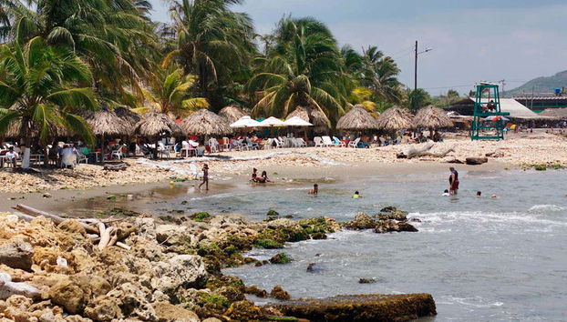 Enjoying a day of sun and sand