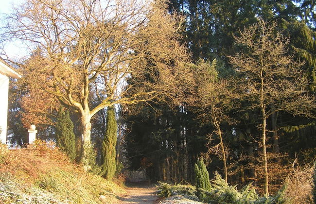 Nature Escape in Bohon - Photo 19