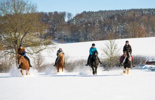 Ferienhof Homann Sauerland - Foto 17