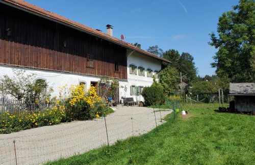 Biohof Dimper - HühnerNest - Foto 1