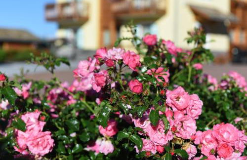 Agritur Maso Chemela - Foto 93