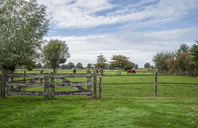 Lamperse hei - Foto 40