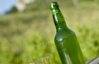 Aptos La Corona-Cabrales-Picos de Europa - Foto 25