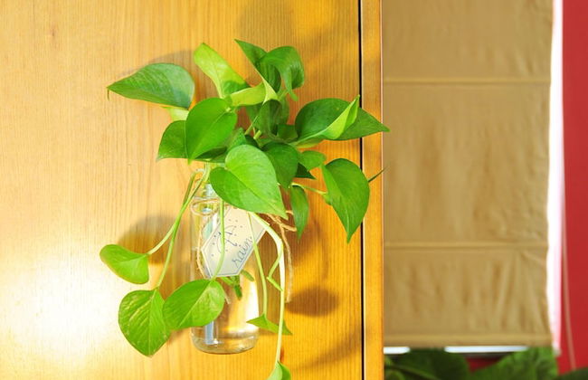 Chez Tram Homestay - Foto 14