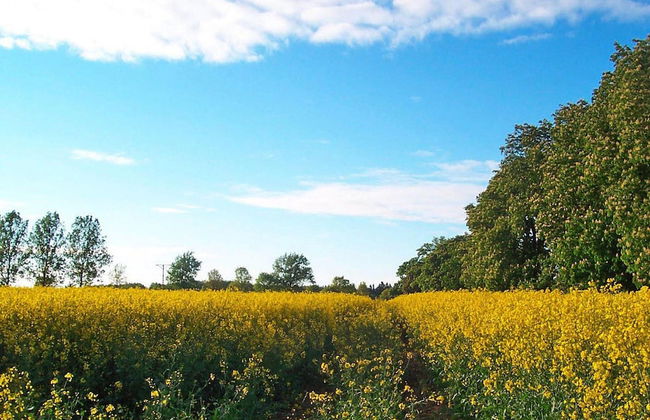 Holiday House With Large Garden, Noskowo - Photo 15