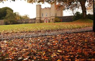 Royal Hillsborough Village Luxury Townhouse - Foto 13