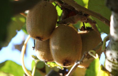 Casa de Tapadeiro - Foto 14