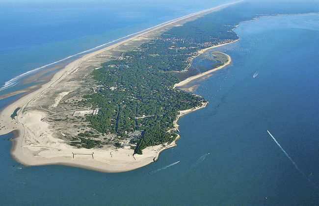 Las Delicias - Foto 17