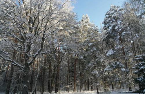 Pension am Reethaus - Foto 19