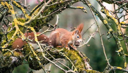 Ferienwohnung Ledergerber - Foto 3