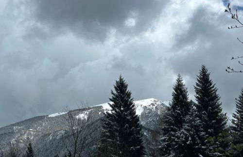 Maso Giulia - Foto 36