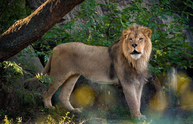 Hotel Ylem - Foto 35