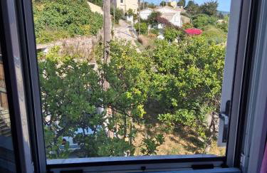 Barbara's House - Foto 17