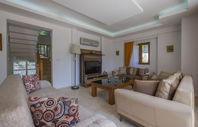 Infinity Olympia Villas - Photo 54