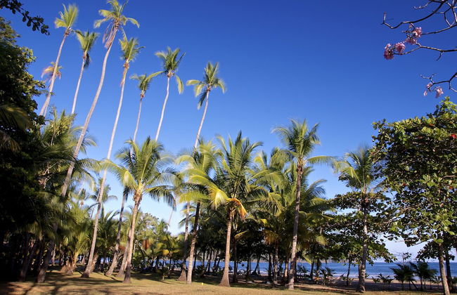 Viva Tambor Villas - Foto 39