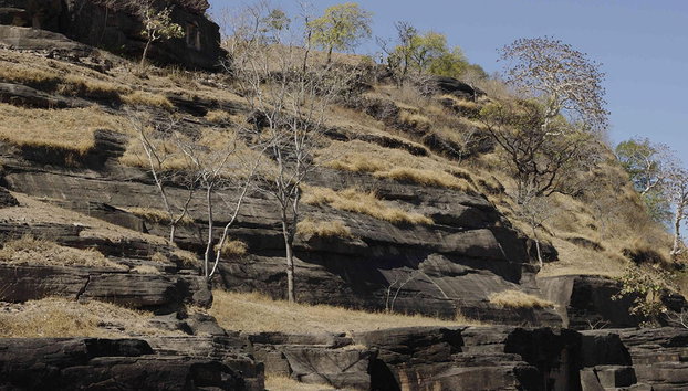 Attrazioni di Bhubhaneshwar - Foto 2