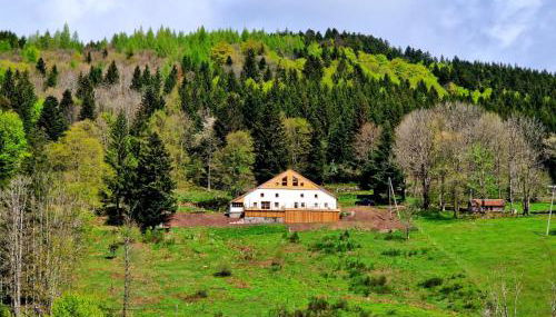 Gîte du Mont d'Air 4 étoiles, au cœur du massif vosgien, bain nordique - Foto 5