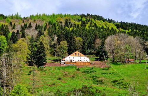 Gîte du Mont d'Air 4 étoiles, au cœur du massif vosgien, bain nordique - Foto 5