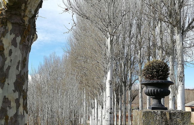 Finca Santa Eufemia - Foto 17