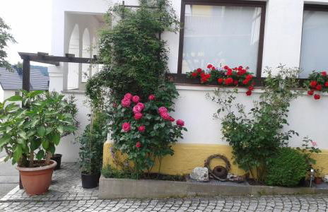 Ferienwohnung "Am Eisenbühl" - Foto 5