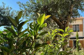 Résidence Catalina - Foto 106