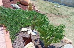 Villa House of William - Foto 21