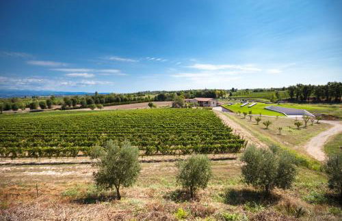 COBUE "Wine resort & Spa" - Foto 17