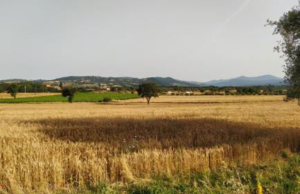 Agriturismo La Dependance - Foto 22