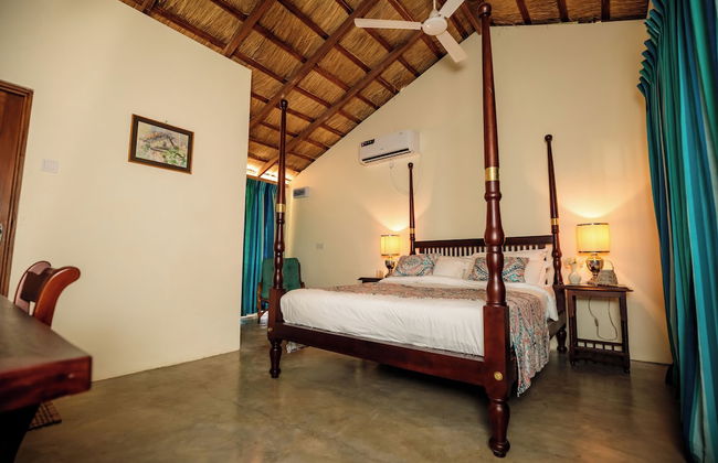 Club Mango - Photo 15