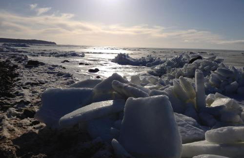 Reetdachhaus am Bodden Middelhagen - Foto 17