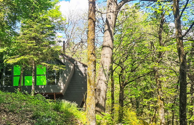 Bosco della Bella 6 - Foto 34