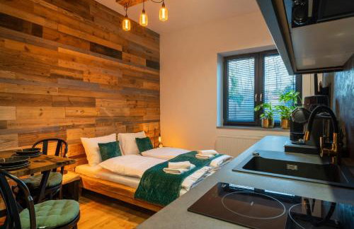 Babina Loft - Foto 7