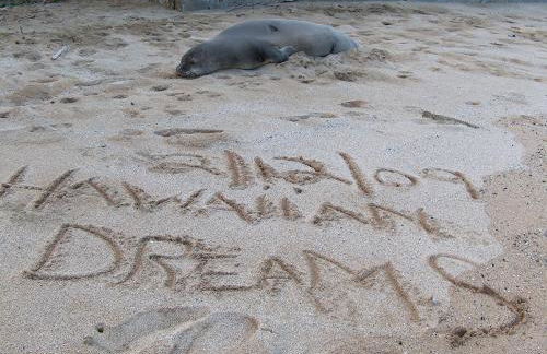 Itʻs All About the Beach - Foto 1