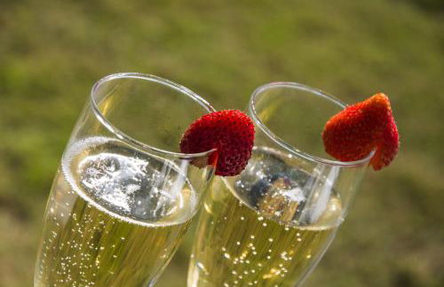 Solar Alegria - Foto 64