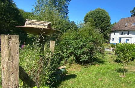 Urlaub in der Natur - Foto 29