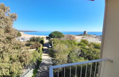 Vista Torre 2 - Foto 6