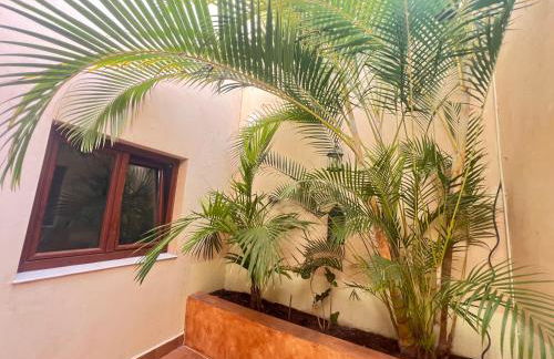 Tinajas Penthouse Views - Photo 39