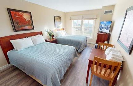 Lux Stay USA Ballhooter Twin Gables Ski-InOut Hot Tub - Foto 18