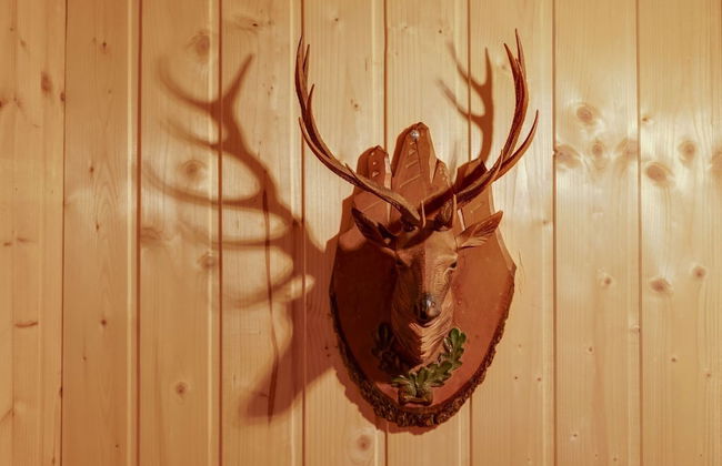 Apartment in St. Lambrecht Near ski Area - Foto 20