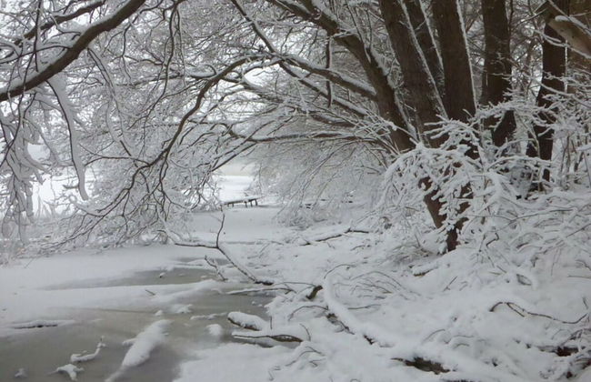 Holiday House by the Lake - Foto 10