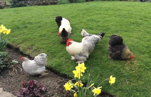 West end cottage and shippon - Photo 16