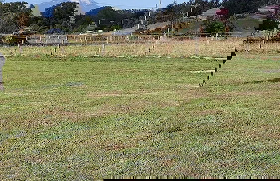 Cabañas ecológicas - Foto 36